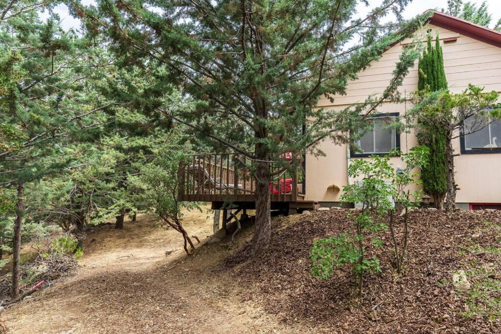 Historical Cabin In Julian Pet'S Okay! المظهر الخارجي الصورة